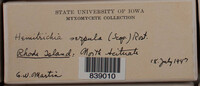 Image Associated With the Occurence